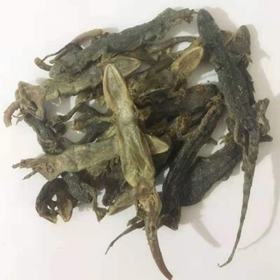 中药材 壁虎 天龙 批发现货 零售 免费打粉图4