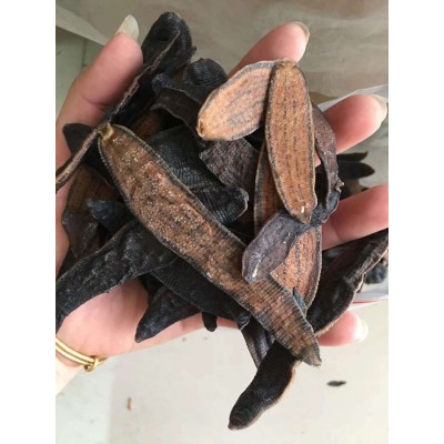 中药材干水蛭250克生宽体水蛭粉金边蚂蟥金线蛭 另有炮制水蛭图3