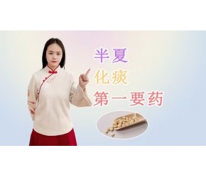 它是中医里的“化痰第一要药”，功效多、用途广，用对了效如桴鼓