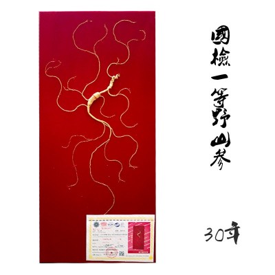 批发国检一等野山参礼盒生晒林下野山参长白山20年以上人参礼盒 1支图2