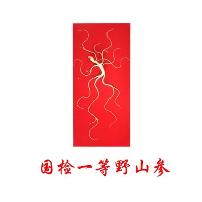 批发国检一等野山参礼盒生晒林下野山参长白山20年以上人参礼盒 1支图5