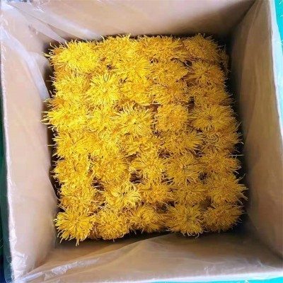 厂家基地供应菊花金丝皇菊散装黄菊花修水大朵菊 婺源大货茶批发 1斤图2