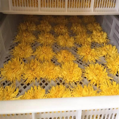 厂家基地供应菊花金丝皇菊散装黄菊花修水大朵菊 婺源大货茶批发 1斤图4