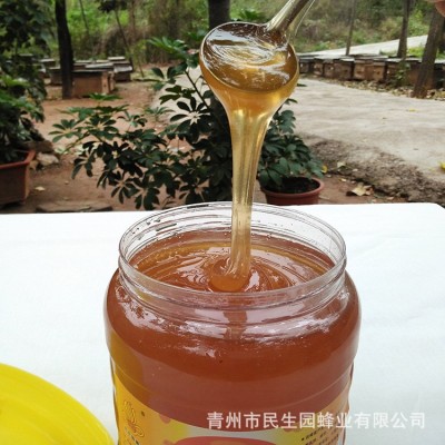 批发代理 农家自产自销 枣花 原蜂蜜 3000g 瓶装土蜂蜜天然 2瓶图2