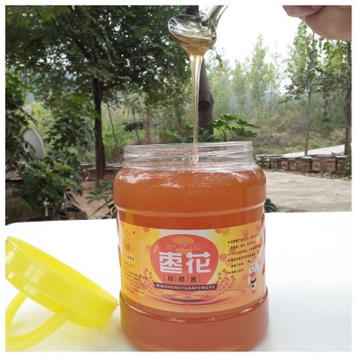 批发代理 农家自产自销 枣花 原蜂蜜 3000g 瓶装土蜂蜜天然 2瓶图4