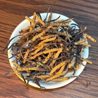 冬虫夏草产地干虫草2025头期头茬虫草产地批发虫草一件代发 1克图3