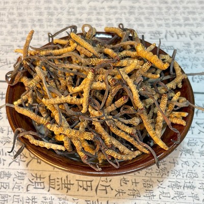 冬虫夏草产地干虫草2025头期头茬虫草产地批发虫草一件代发 1克图4