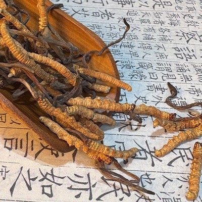 冬虫夏草产地干虫草2025头期头茬虫草产地批发虫草一件代发 1克图2