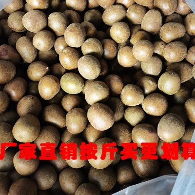 论斤批发散装广西桂林特产罗汉果类野生罗汉果小小果花茶大量批发图2