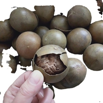论斤批发散装广西桂林特产罗汉果类野生罗汉果小小果花茶大量批发图4