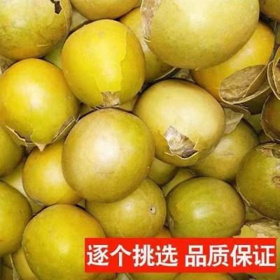 【散装】桂林特产黄金罗汉果破果低温脱水罗汉果花果茶原料厂价销
