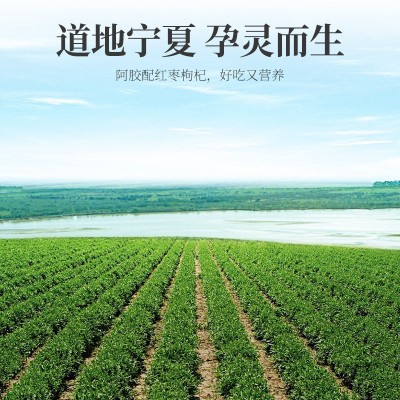 【杞里香】出塞枸杞礼盒 豪华礼盒480g装新货中宁特级枸杞送礼款图3