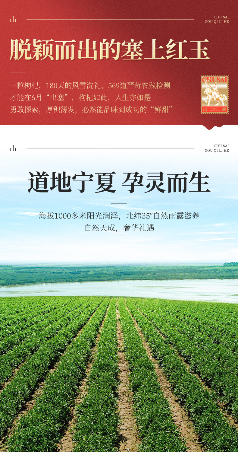 描述图_8.jpg