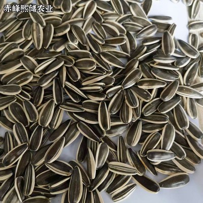 10斤葵花籽大颗粒内蒙原产地原味葵花生瓜子新货散装5kg生瓜子 1千克图4