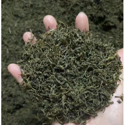 小叶苦丁 青山绿水 大货批发 花草茶 袋泡茶图1