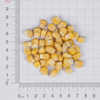 厂家供应脱水甜玉米粒FD冻干玉米碎玉米汁方便食品配料冻干玉米粒图3