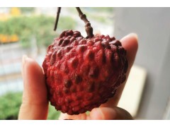 荔枝吃多了会怎么样