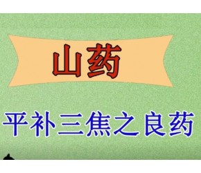 平补三焦的良药——山药，应该怎么用？这3个“妙用”，你知道吗