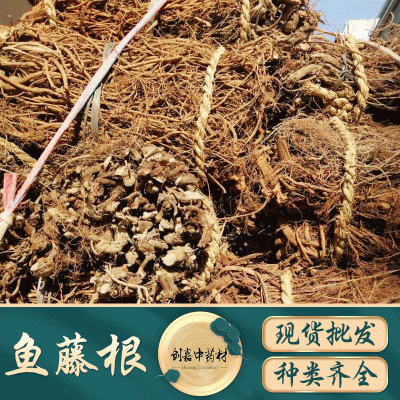 鱼藤根富含鱼藤酮精细粉末 水溶粉现货清塘鱼藤根浓缩粉