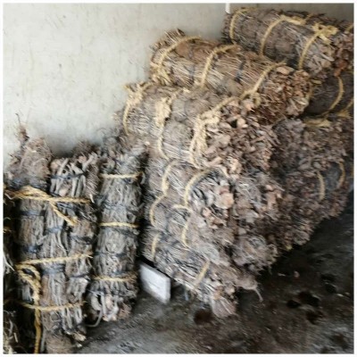 鱼藤根富含鱼藤酮精细粉末 水溶粉现货清塘鱼藤根浓缩粉图4
