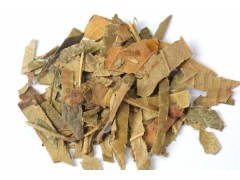 枇杷叶怎么煮水止咳