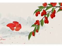 枸杞上火吗