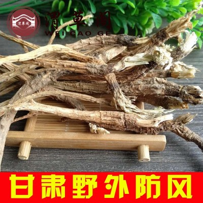 甘肃产地野外防风条 多年生北防风 旱防风关防风中药材500克包邮