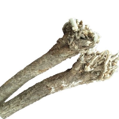 甘肃原产地多年生黄芪整根野生黄芪片正北芪500g野生黄芪条批发图4