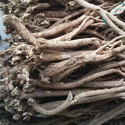 甘肃原产地多年生黄芪整根野生黄芪片正北芪500g野生黄芪条批发图3