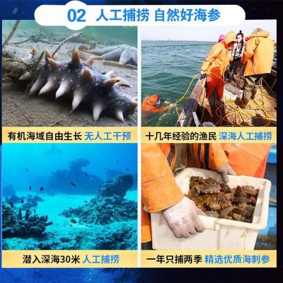 海参原浆口服液 海参肽液体营养滋补饮品小分子肽代加工现货批发图4