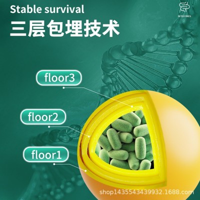益生元+益生菌冻干粉 无蔗糖复合活性益生菌肠胃肠道调理固体饮料图4
