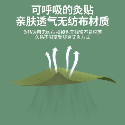 抖音爆款北京同仁堂艾草贴 腰椎贴艾灸贴发热关节贴保健贴膏药贴图4