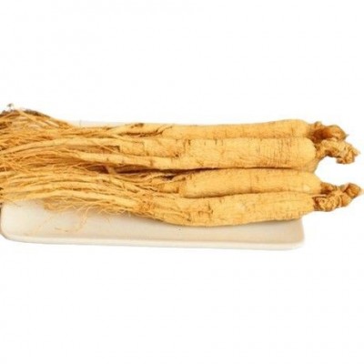 500克天然白人参泡酒 sun dry white ginsen root with tail 出口图5