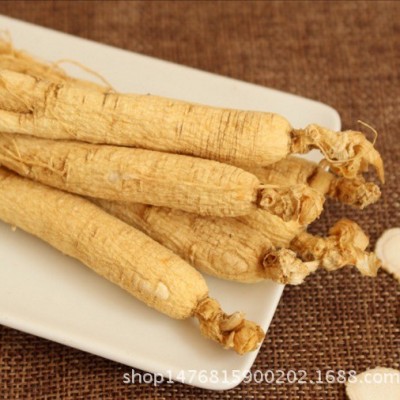 500克天然白人参泡酒 sun dry white ginsen root with tail 出口图2