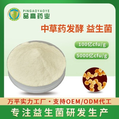 中草药发酵专用益生菌100亿cfu/g 乳酸菌发酵剂 五菌复 合益生菌粉