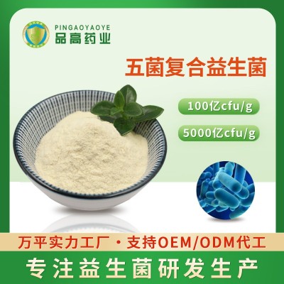 五菌复合益生菌粉 食品级益生菌原料 大量现货 复合乳酸菌菌种