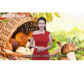 食用菌的养生保健及药理作用