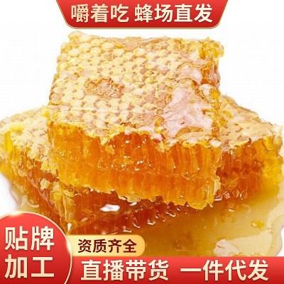 蜂巢蜜批发 山花散装农家土蜂蜜荆条蜜 250g/500g成熟蜂巢蜜批发