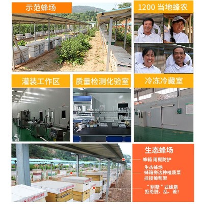 蜂巢蜜批发 山花散装农家土蜂蜜荆条蜜 250g/500g成熟蜂巢蜜批发图4