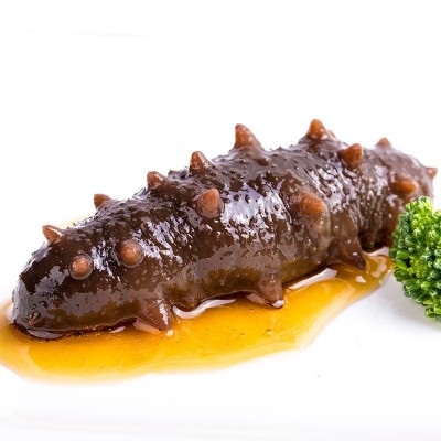 【海参加工厂】固力源大连海参即食海参批发大连辽参鲜食海参代发图5