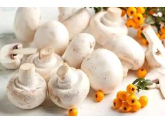 都说要控盐，你知道有哪些含钠高的食物吗？科学养生有技巧