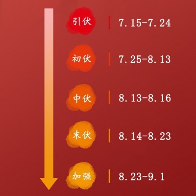 京古方三伏贴批发代发成人儿童蜂蜜穴位贴三伏天艾灸加厚药膏贴图2
