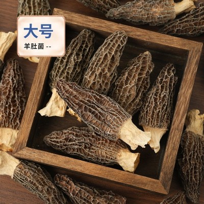 云南原产地头茬羊肚菌干菌包装批发电商代发剪柄食用羊肚菌袋装图4