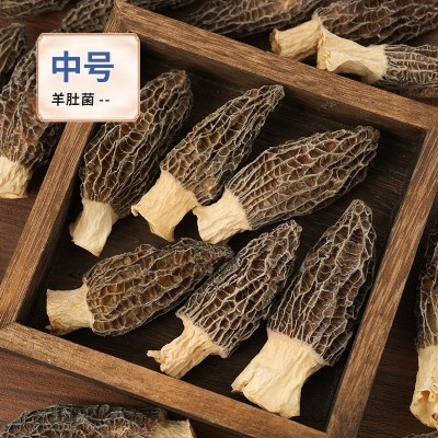 云南原产地头茬羊肚菌干菌包装批发电商代发剪柄食用羊肚菌袋装图3