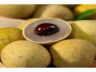 桂圆干怎么吃治失眠