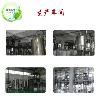 总络塞维 3% 5% 红景天提取物 红景天甙 1% 2% 厂家供应 现货包邮 1千克图2