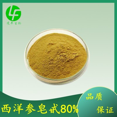 西洋参皂甙80% 1kg起订 人参皂甙 西洋参粉 厂家现货 包邮 1千克