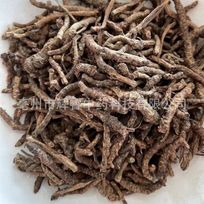 胡黄连 中药材胡黄连 现货批发 量大从优 30斤