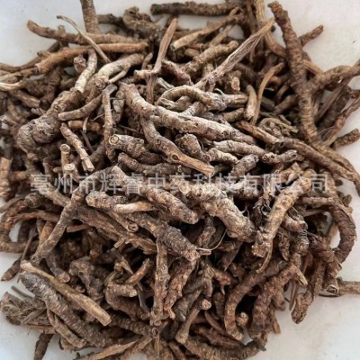 胡黄连 中药材胡黄连 现货批发 量大从优 30斤图3