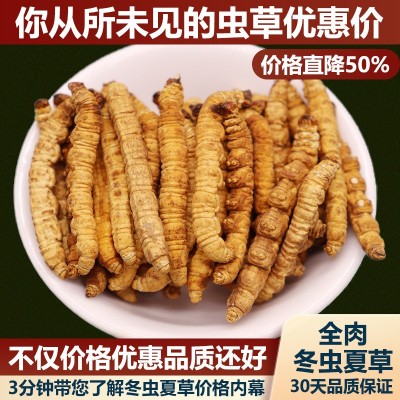 西藏那曲冬虫夏草干货正品头期纯肉大虫草优选10克经济自食补品 5g